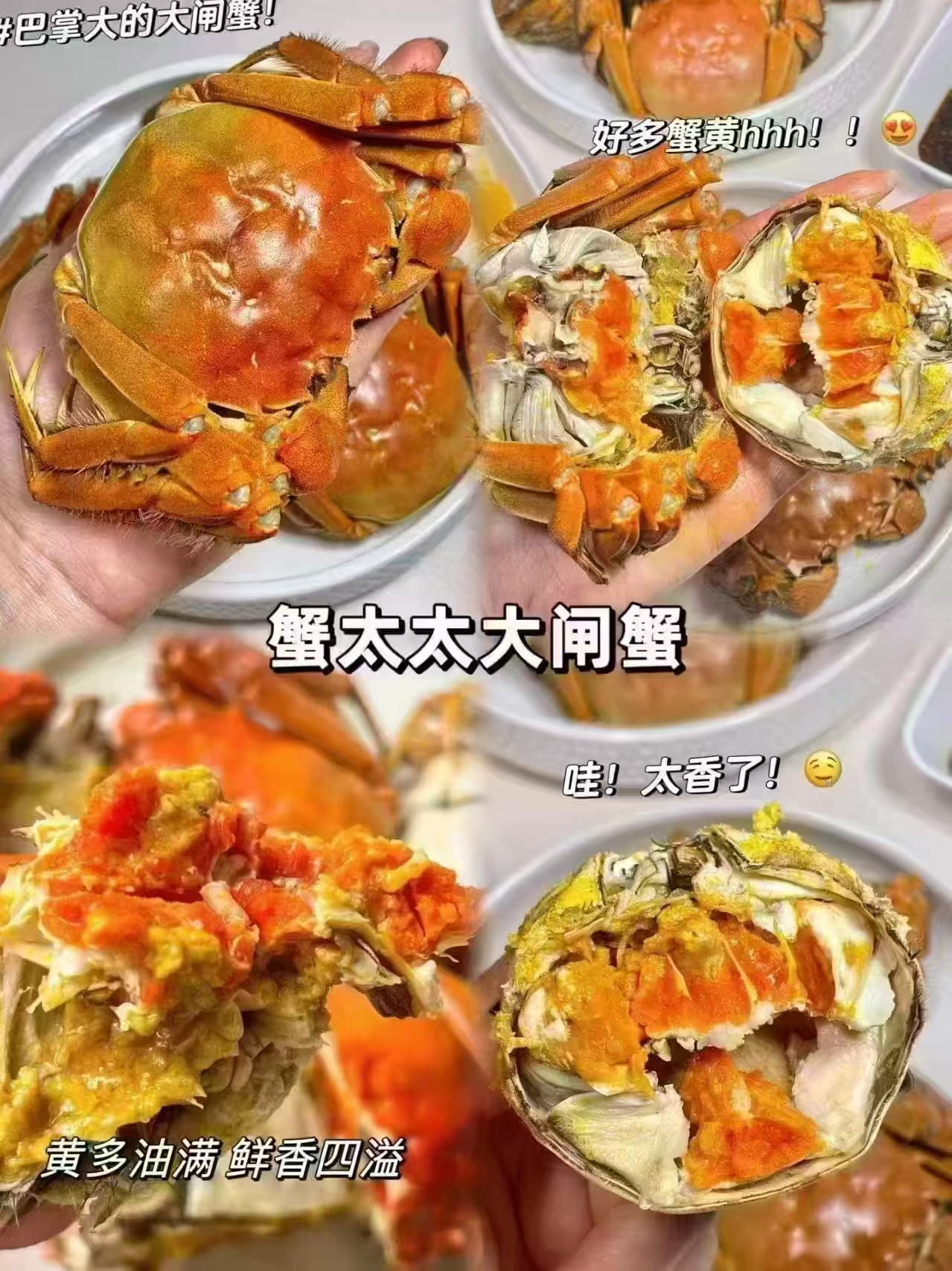 蟹太太大闸蟹卷公蟹3.5两母蟹2.5两8只 208元 - 86线报