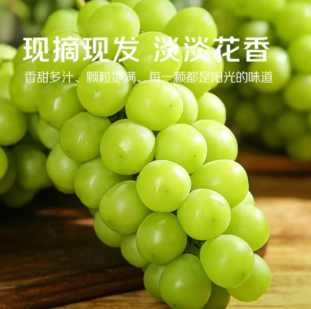 京觅阳光玫瑰带箱5斤 24.9元,海飞丝洗发水20g 0.4元 - 86线报 京觅阳光玫瑰带箱5斤 24.9元,海飞丝洗发水20g 0.4元 - 86线报
