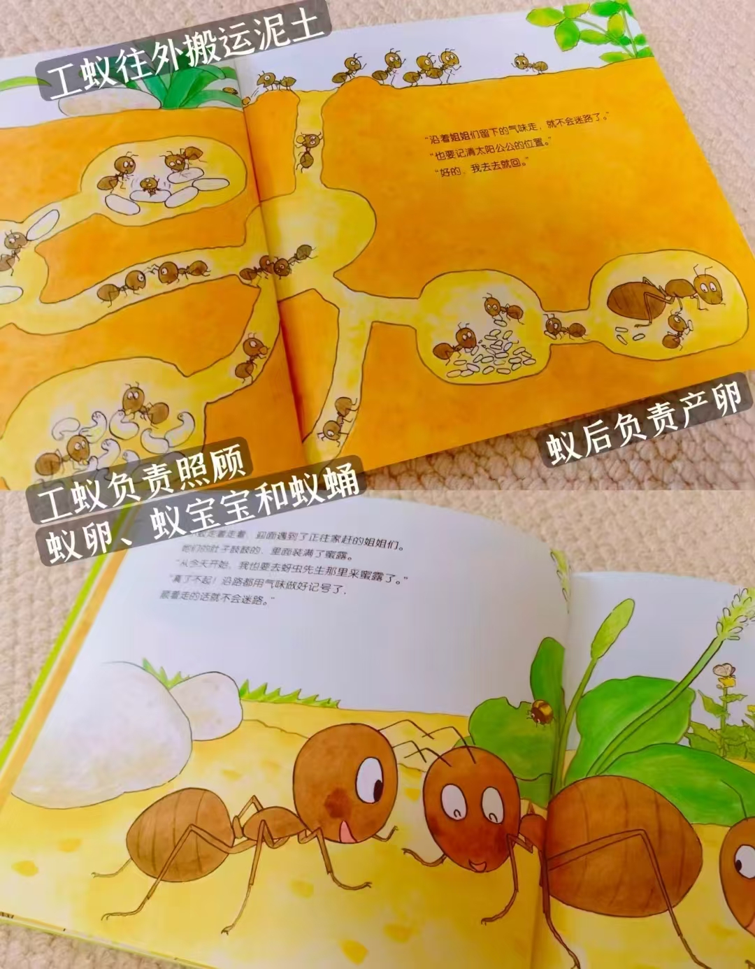 叽叽呱呱自然科普绘本全15册 60元 - 86线报