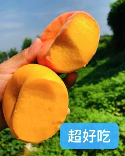 正宗山东蒙阴黄金蟠桃净重4.5斤大果 27.9元 - 美泡泡