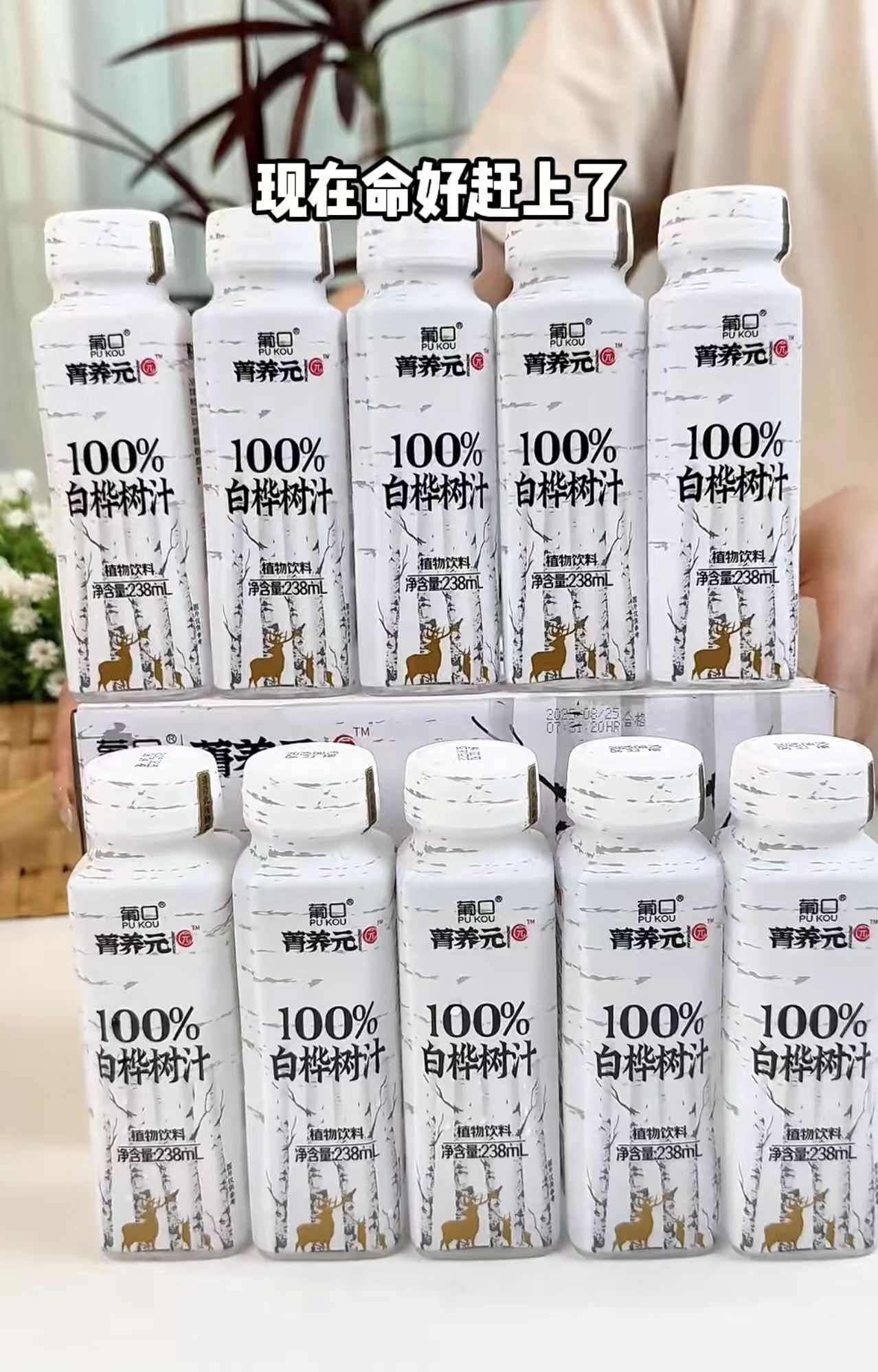 葡口100%白桦树汁238ml*10瓶 9.9元 - 线报酷
