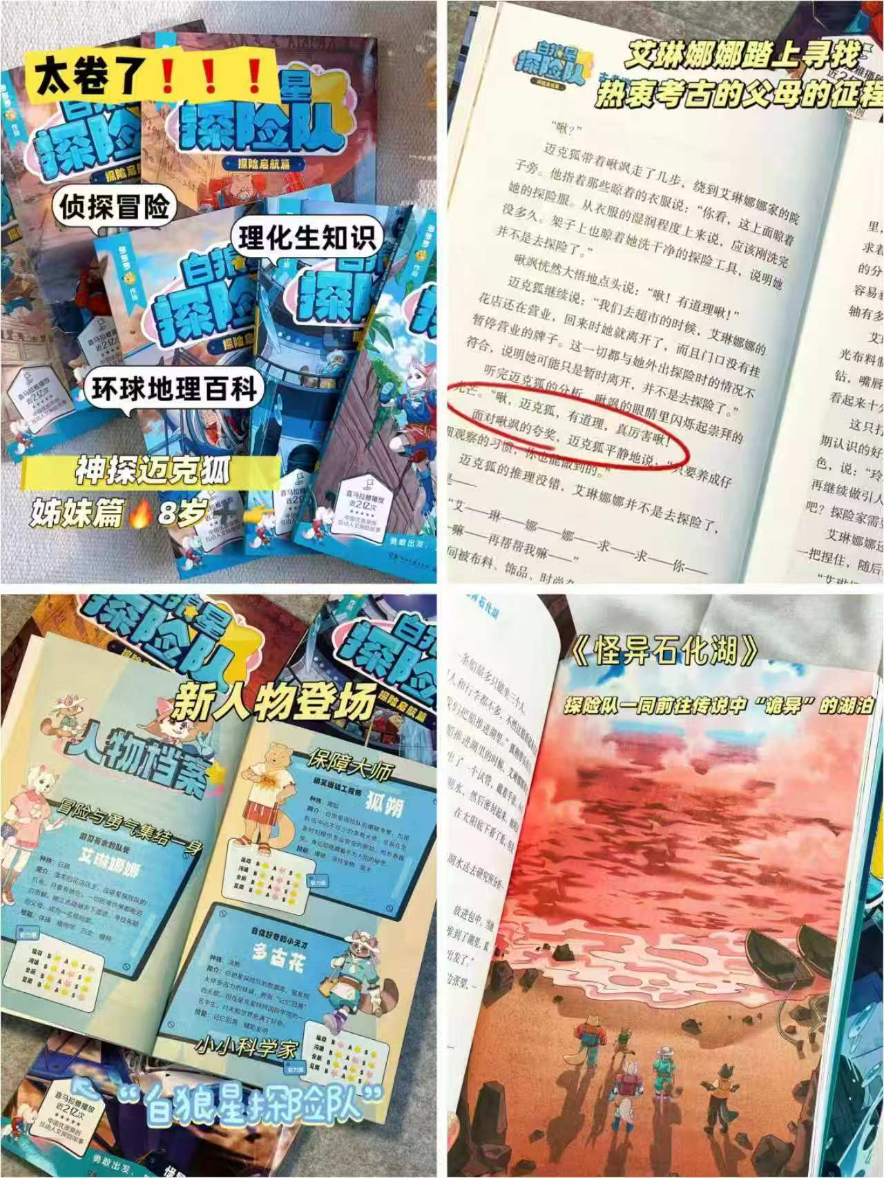白狼星探险队探险启航篇+壁画迷踪篇全12册 134元 - 86线报