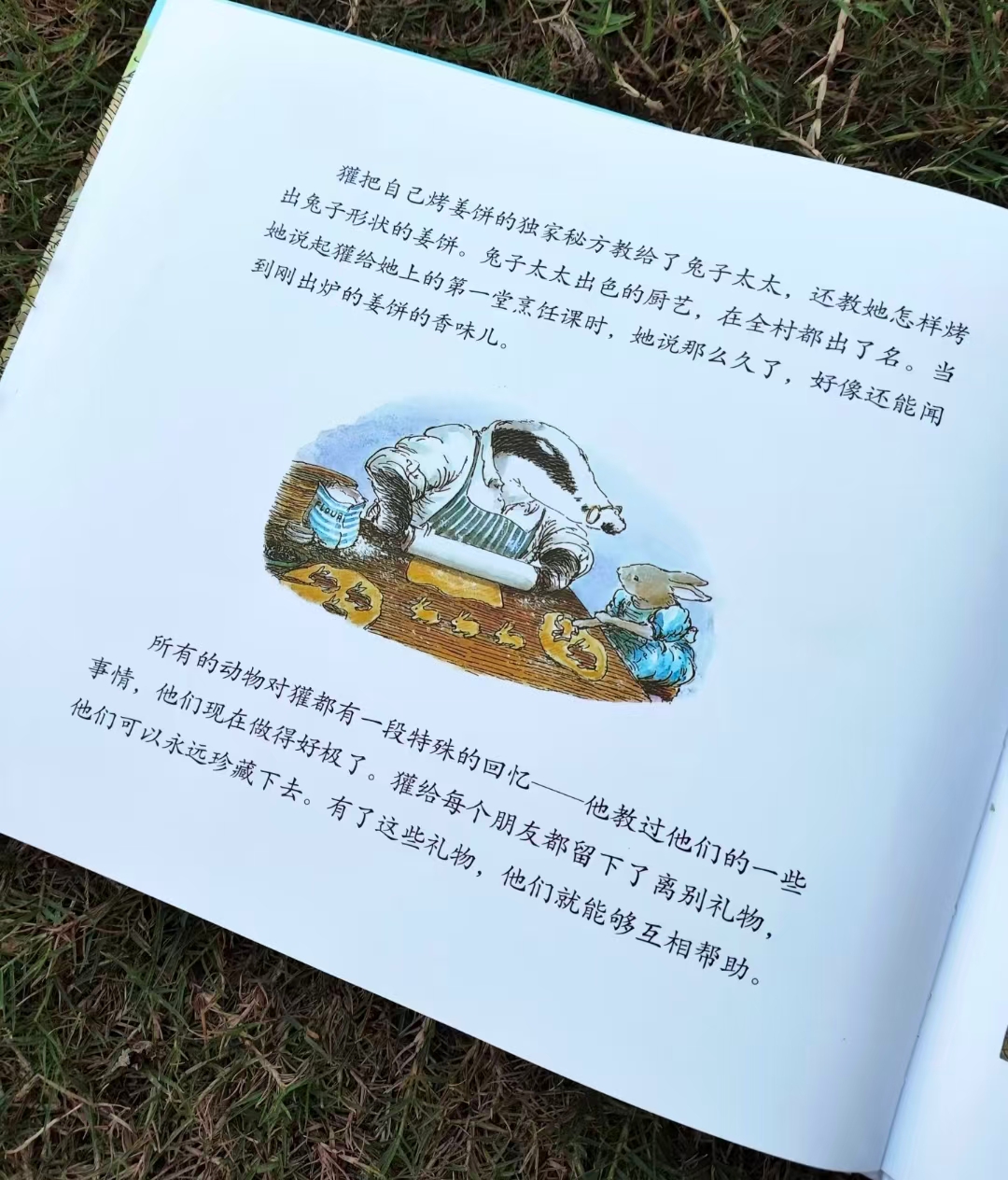 獾的礼物 16.7元 - 86线报