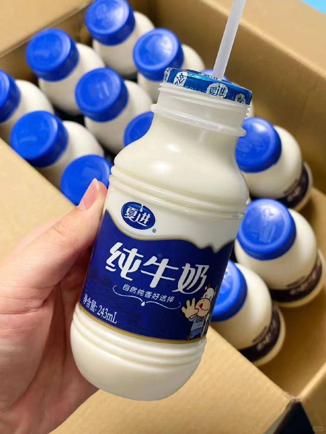 夏进纯牛奶整箱243ml/瓶 1.7元 - 86线报 夏进纯牛奶整箱243ml/瓶 1.7元 - 86线报