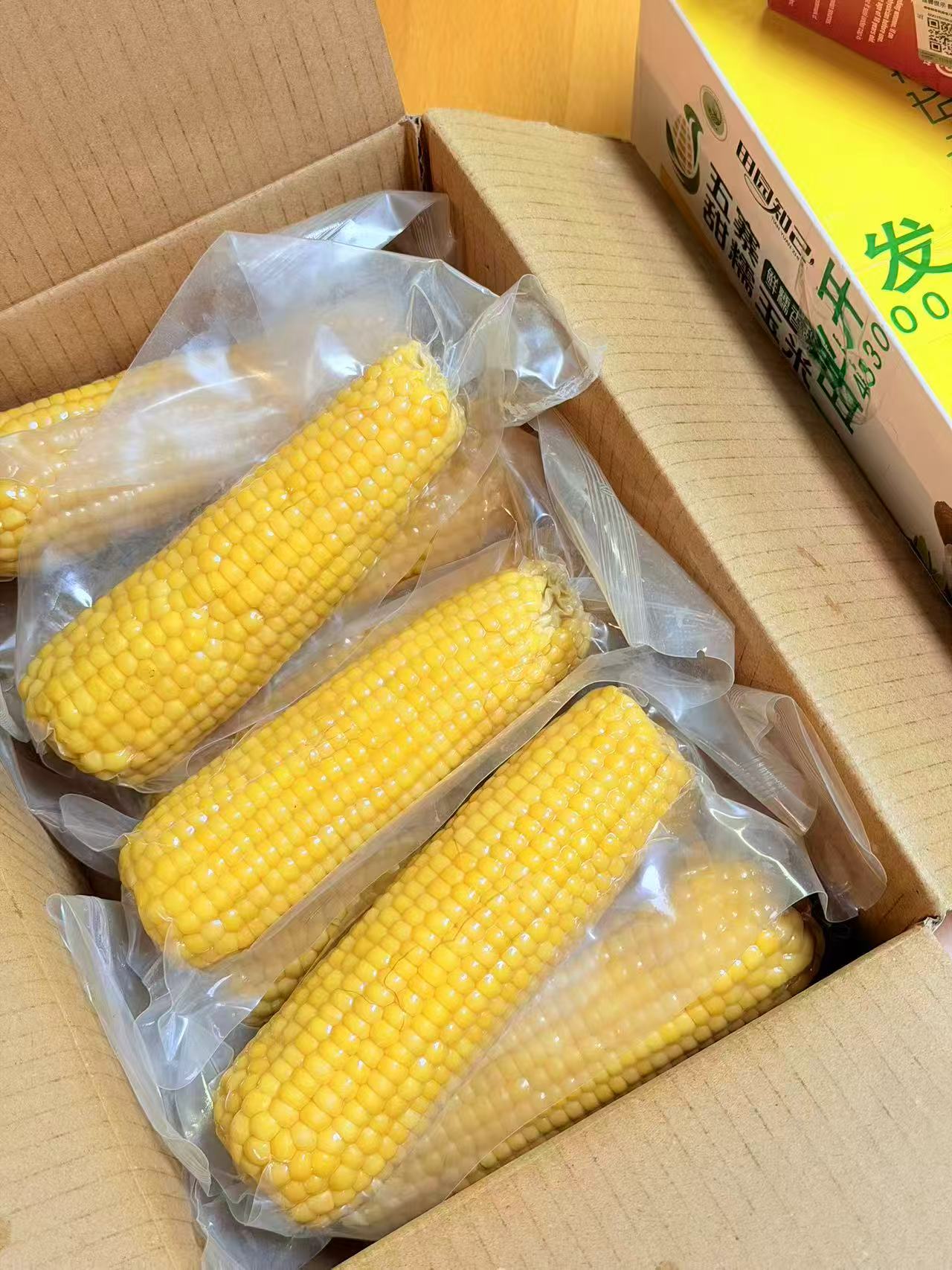 田园知己甜糯玉米实发4斤 15元 - 86线报