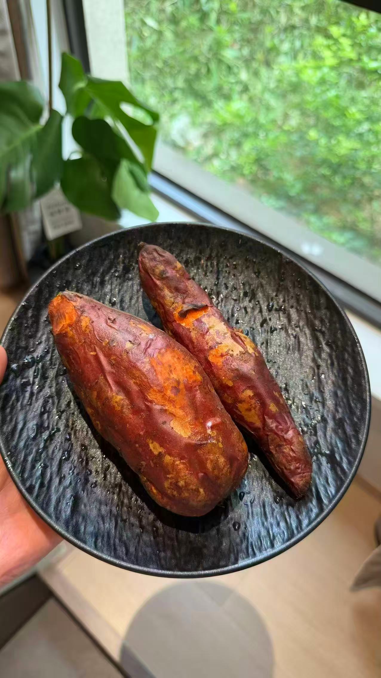 正宗西瓜红蜜薯带箱5斤 6.9元 - 美泡泡