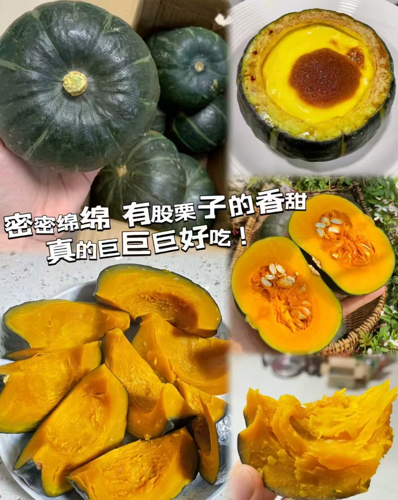 绿行者正宗贝贝南瓜4.5斤 16.9元 - 线报酷