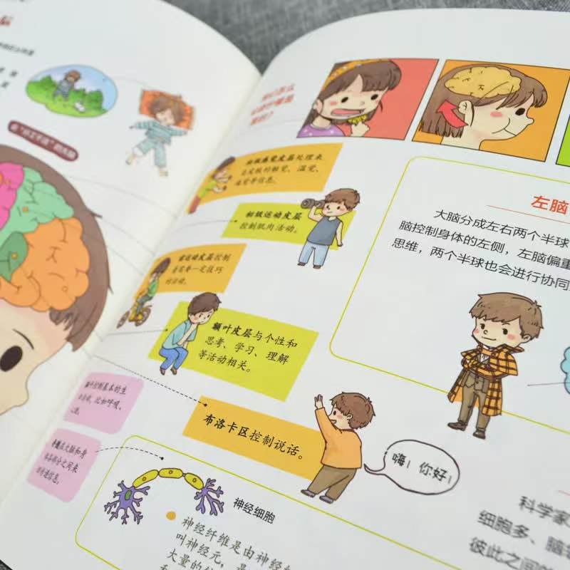 洋洋兔动漫男孩女孩生理启蒙图书揭秘身体的奥秘3-8岁儿童适用 9.8元 - 86线报