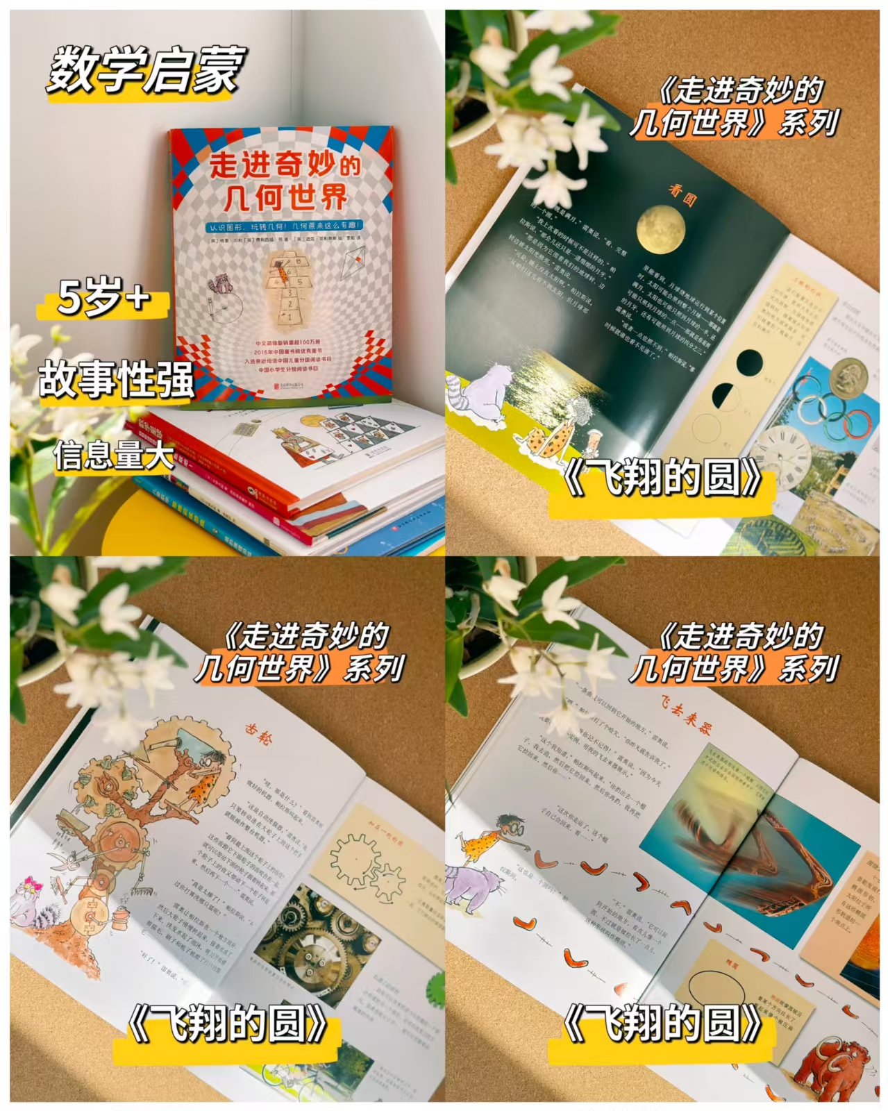 走进奇妙的几何世界6册 52元 - 86线报