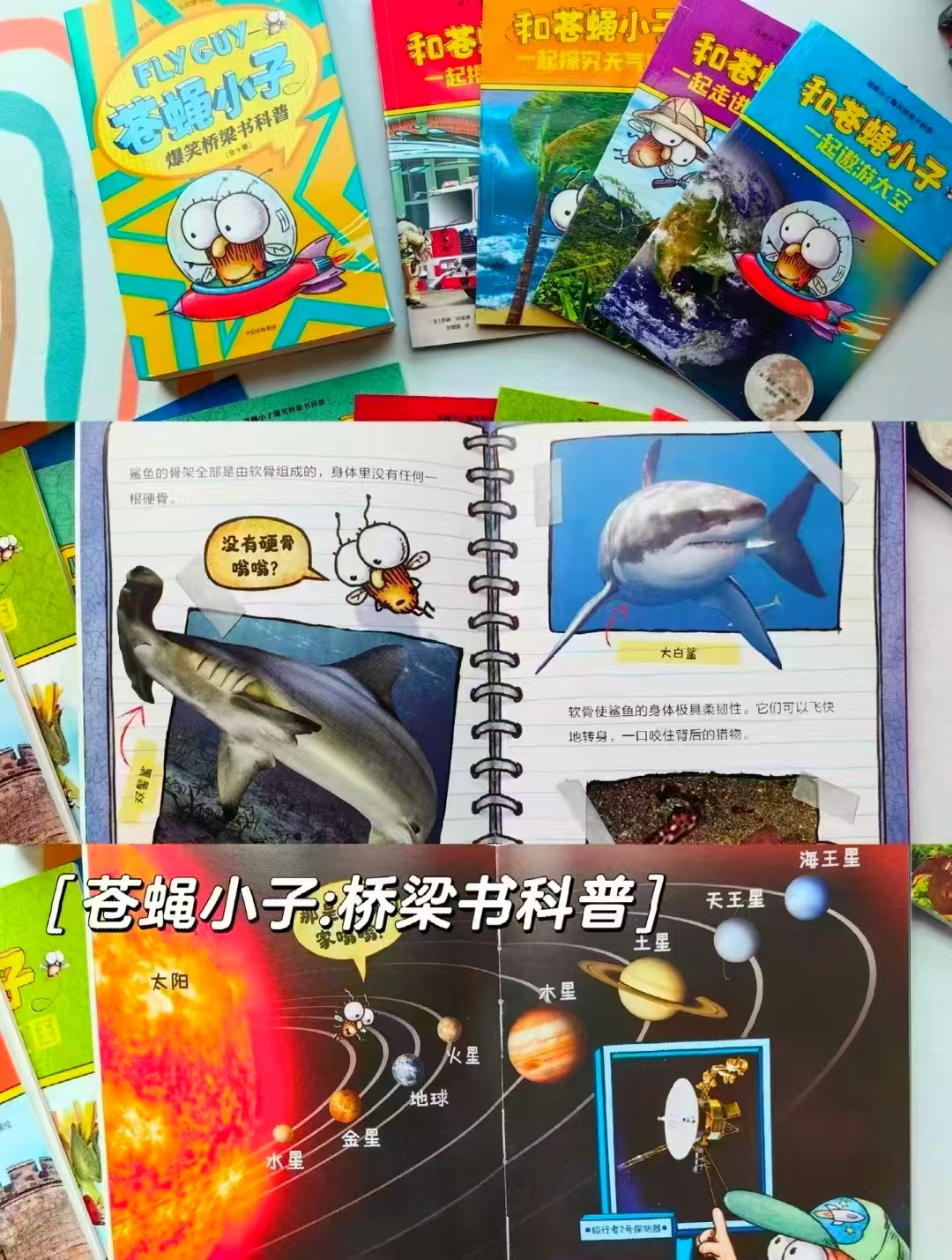 中信出版苍蝇小子爆笑桥梁书科普（全9册） 32.4元 - 线报酷