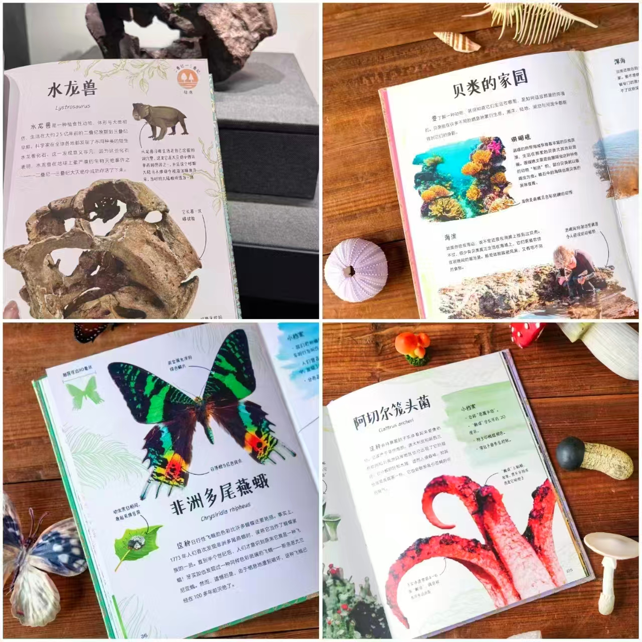 DK珍奇博物馆合集任选2册 43.2元 - 线报酷