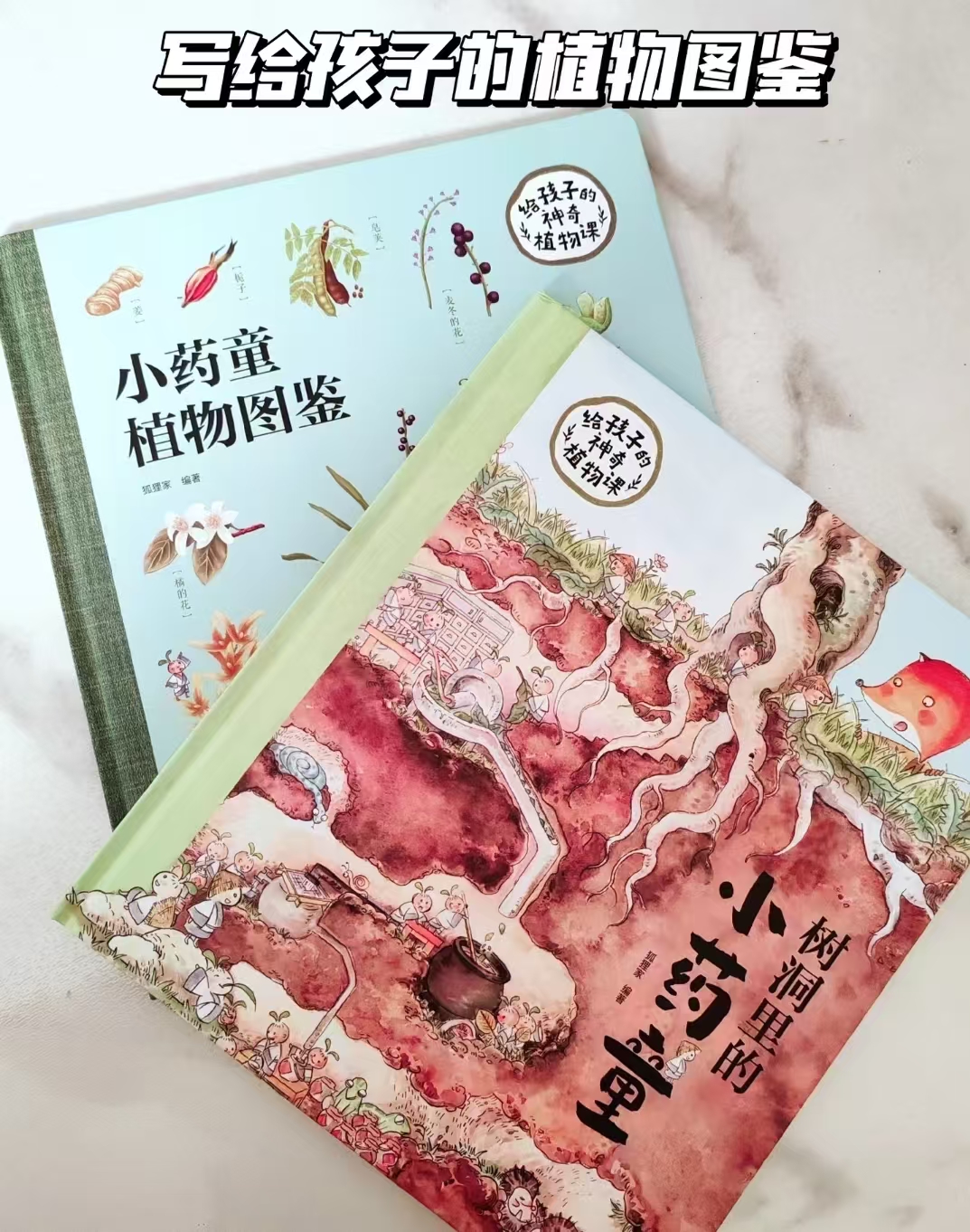 给孩子的神奇植物课树洞里的小药童 28.2元 - 线报酷