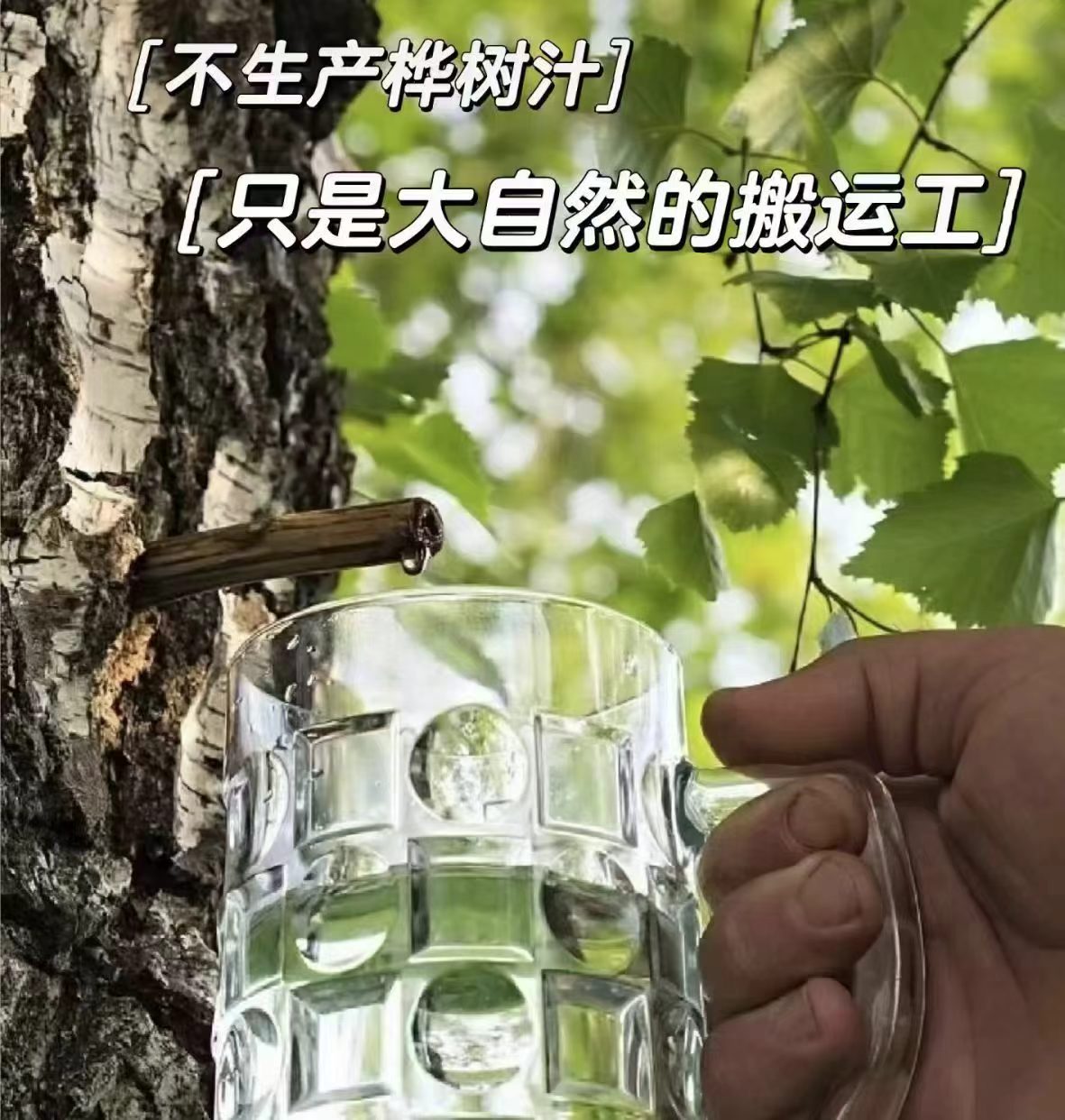 葡口100%白桦树汁238ml*20瓶 16.9元 - 线报酷