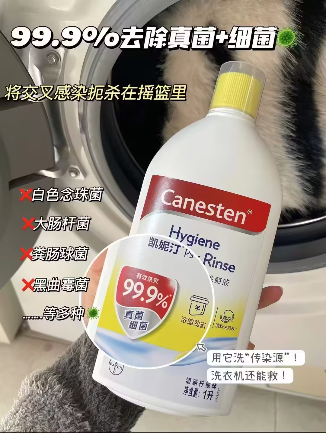 拜耳凯妮汀衣物消毒液1L香味任选 29元 - 86线报