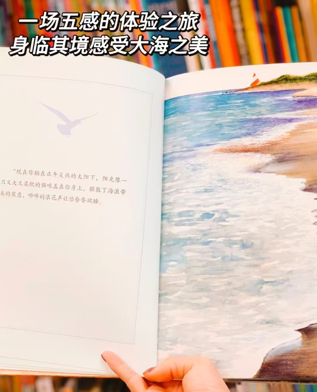 小博集凯迪克大奖作家儿童绘本五感体验 21元 - 86线报 小博集凯迪克大奖作家儿童绘本五感体验 21元 - 86线报