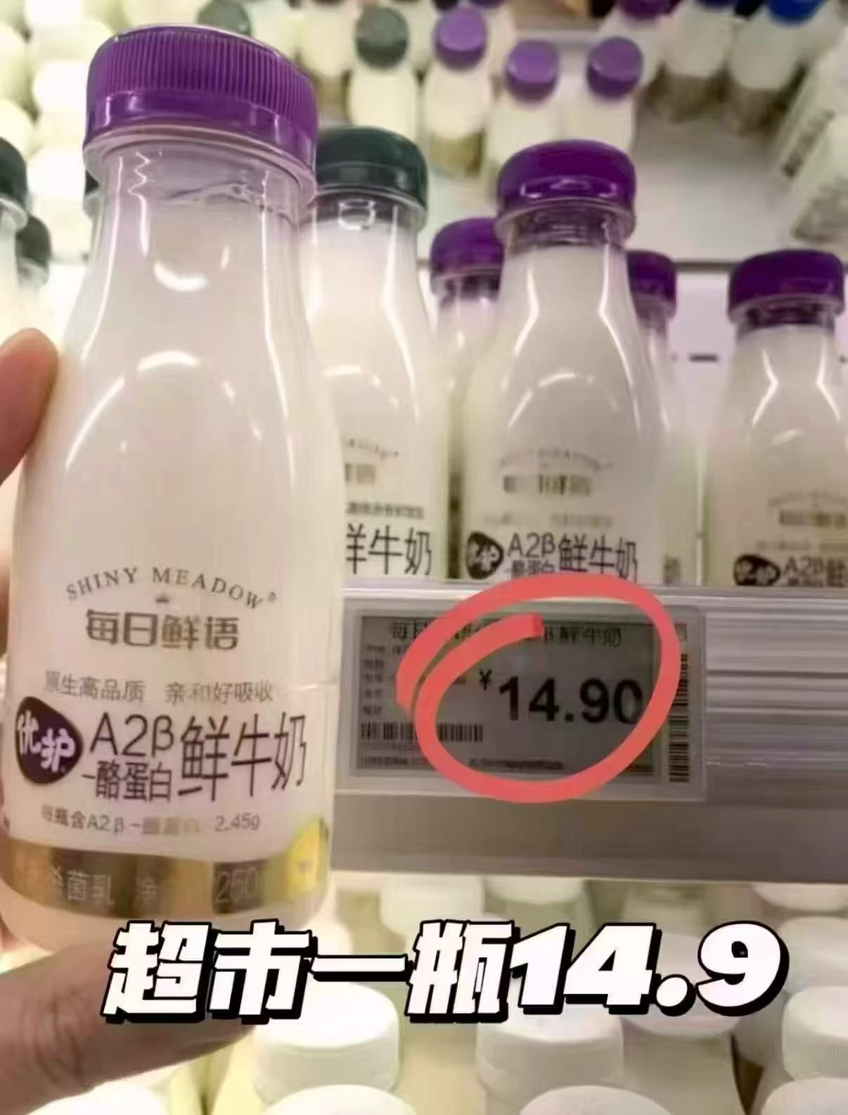 每日鲜语A2β鲜牛奶组合共10瓶185ml*7瓶+250ml*3瓶 35.1元 - 86线报