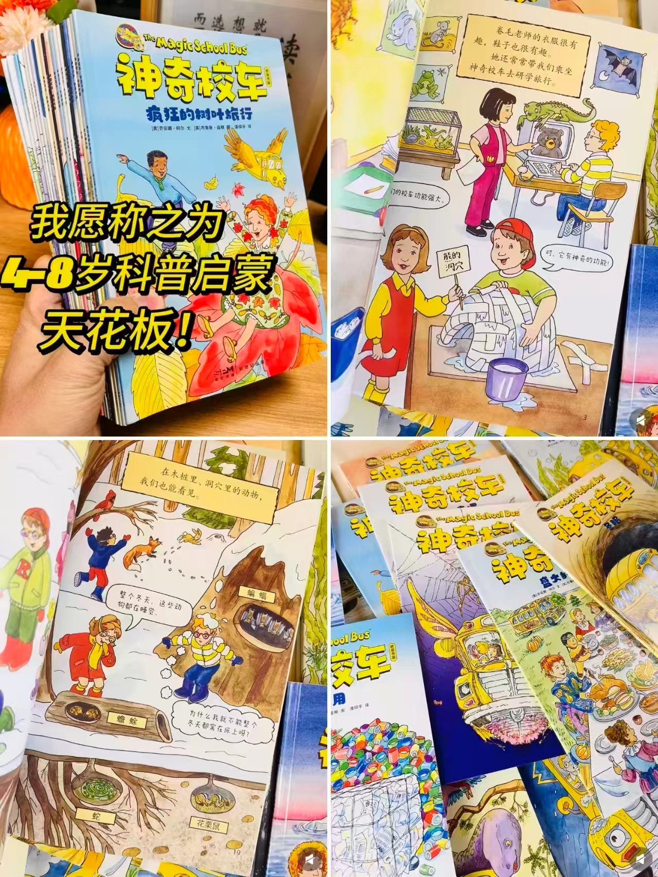 神奇校车桥梁科普书套装笔➕点读版20册 赠知识拓展手册➕20个科普视频➕3堂领读课 129元 - 86线报