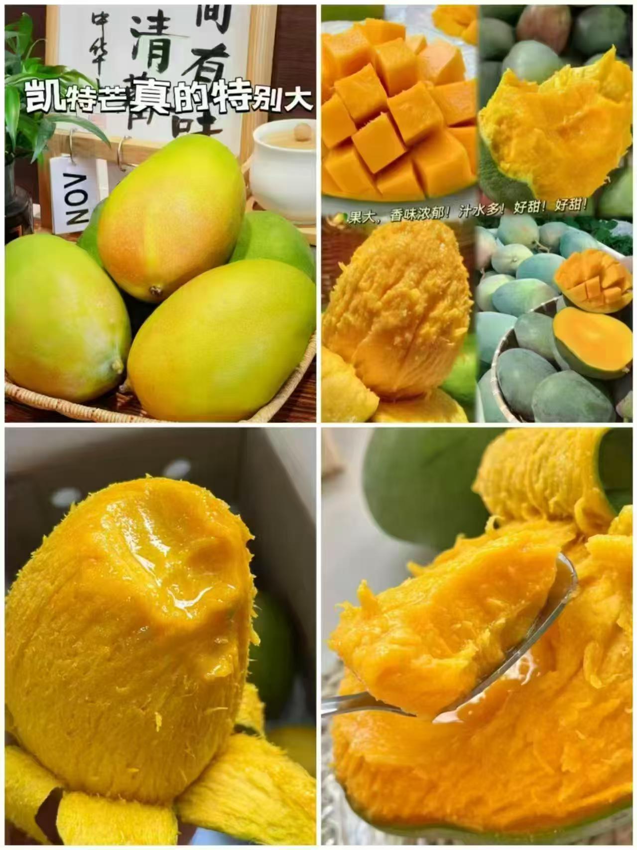 自营攀枝花凯特芒果净重4.5斤 9.9元 - 86线报