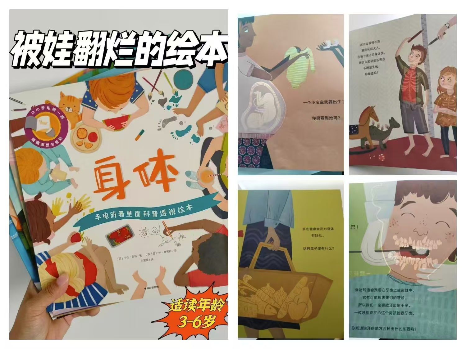 手电筒看里面科普透视绘本套装22册3-6岁 123元 - 86线报