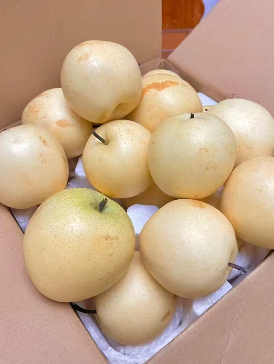 皇冠梨整箱10斤 14.9元 - 折送网