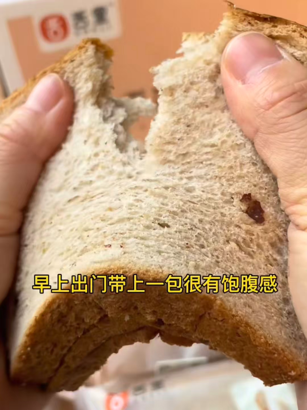 舌里红枣黑麦吐司1000g*1箱 18.9元 - 折送网