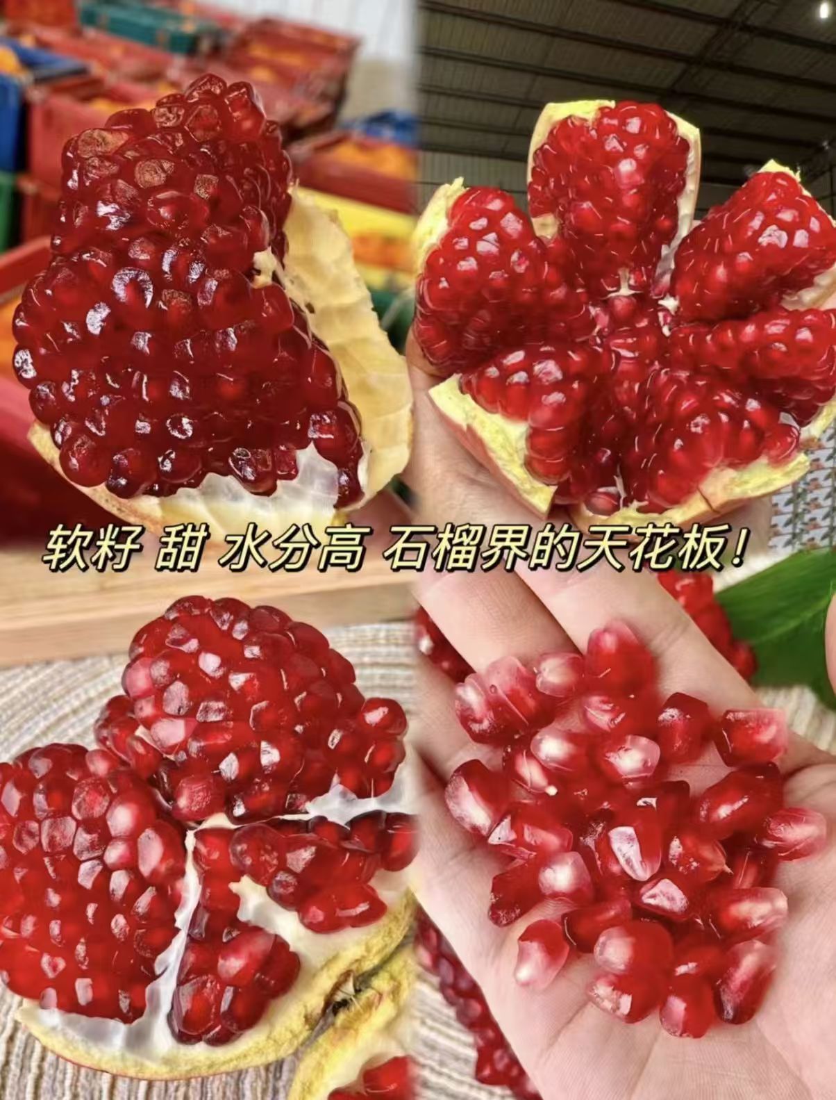 都乐突尼斯软籽石榴3斤中大果 19.9元 - 86线报