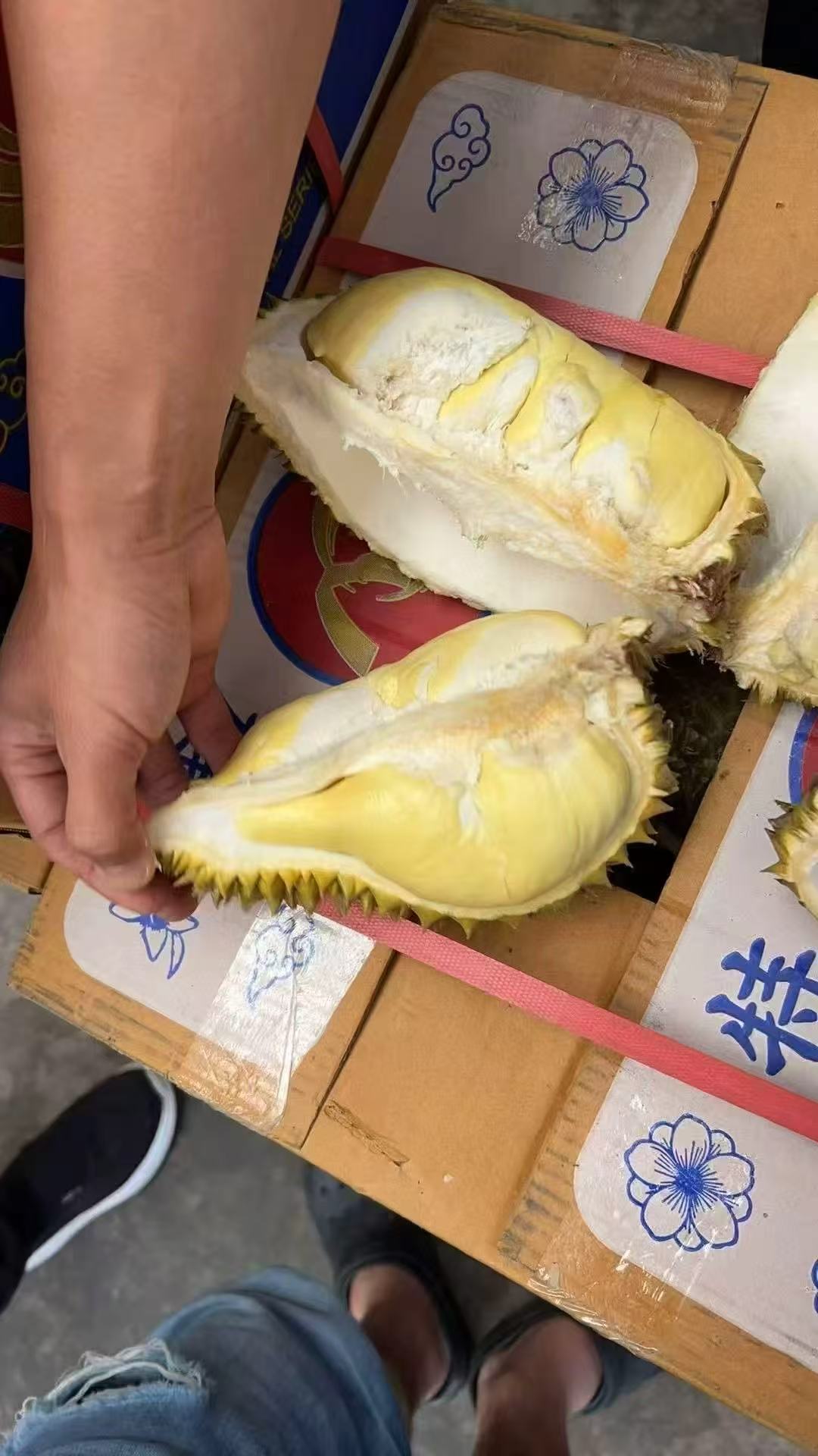 正宗泰国金枕榴莲拍1发净重5-6斤单果包3-4房2粒装 109元 - 86线报