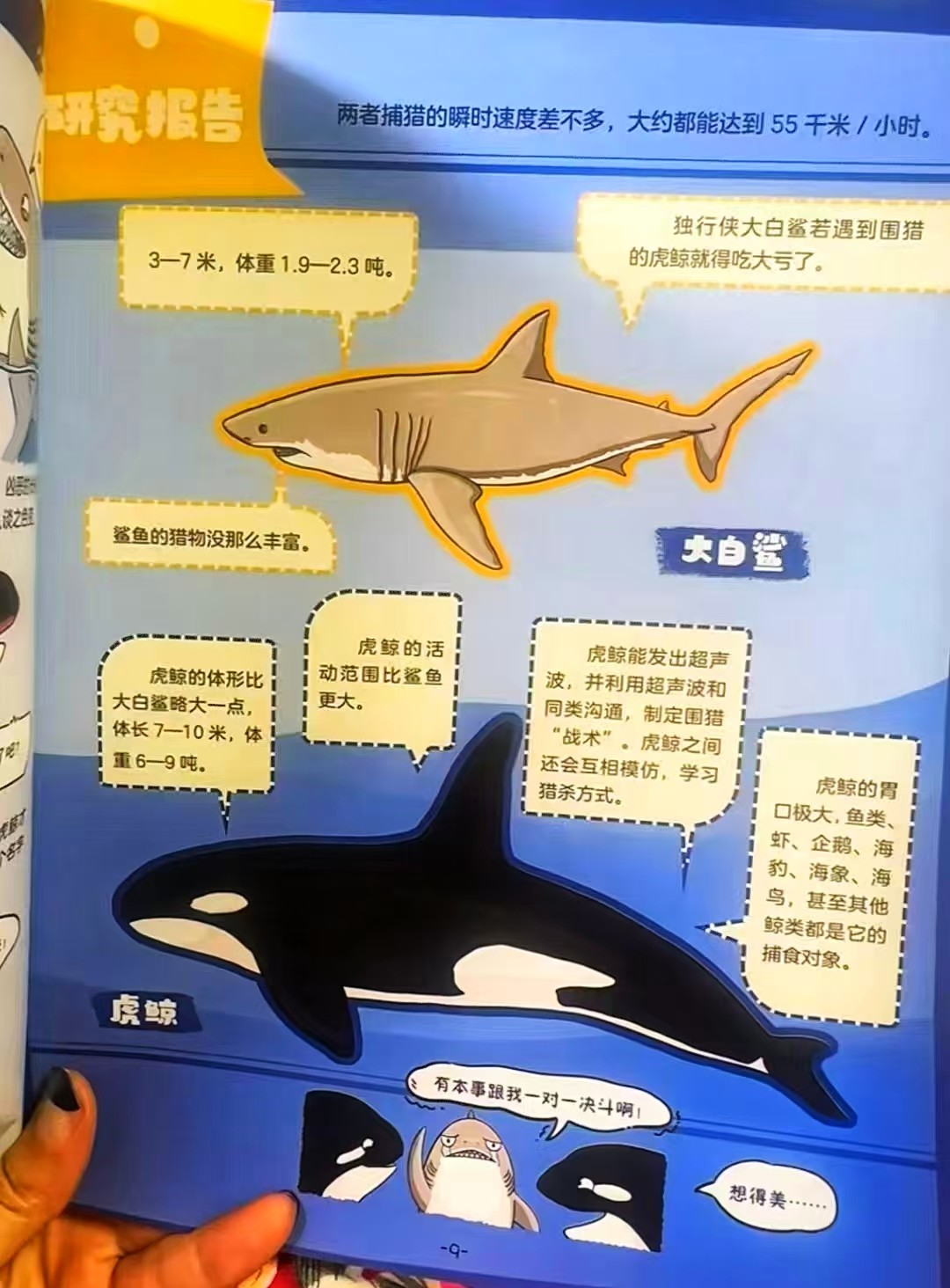 动物博士神秘档案馆2册 19.9元 - 86线报