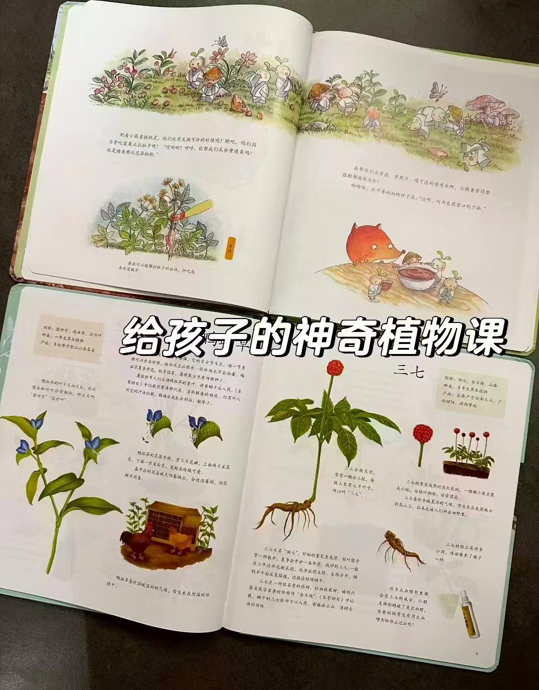 给孩子的神奇植物课树洞里的小药童 40元 - 折送网