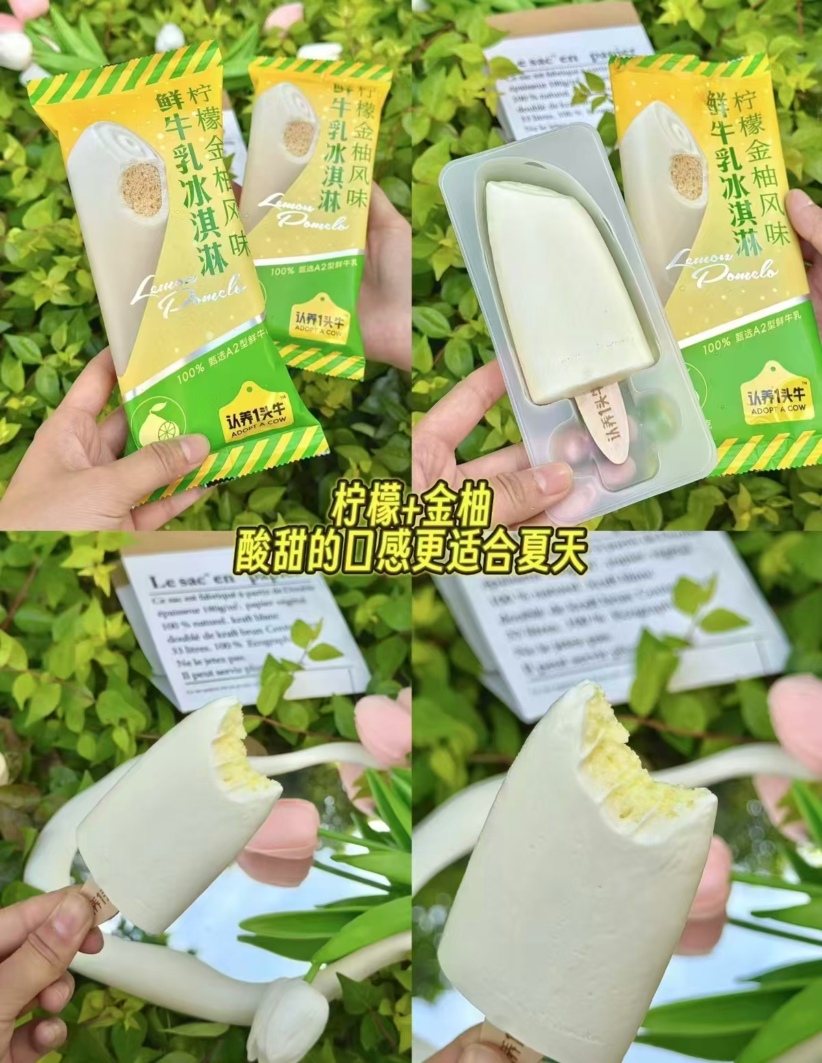 认养一头牛鲜乳冰淇淋拍20件含赠50支 94元 - 线报酷 认养一头牛鲜乳冰淇淋拍20件含赠50支 94元 - 线报酷