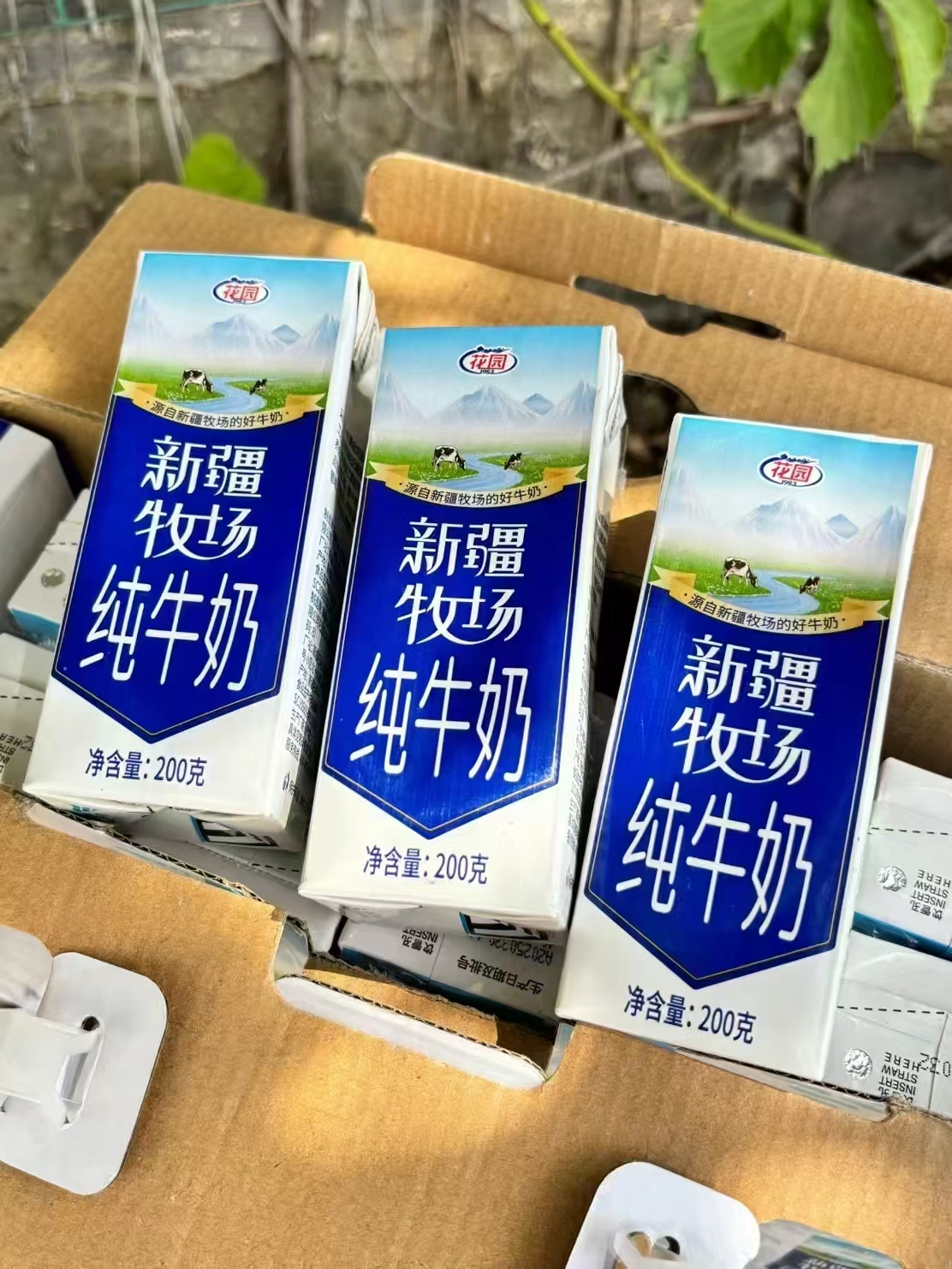 花园新疆牧场纯牛奶200g拍1发30盒 58.9元 - 86线报