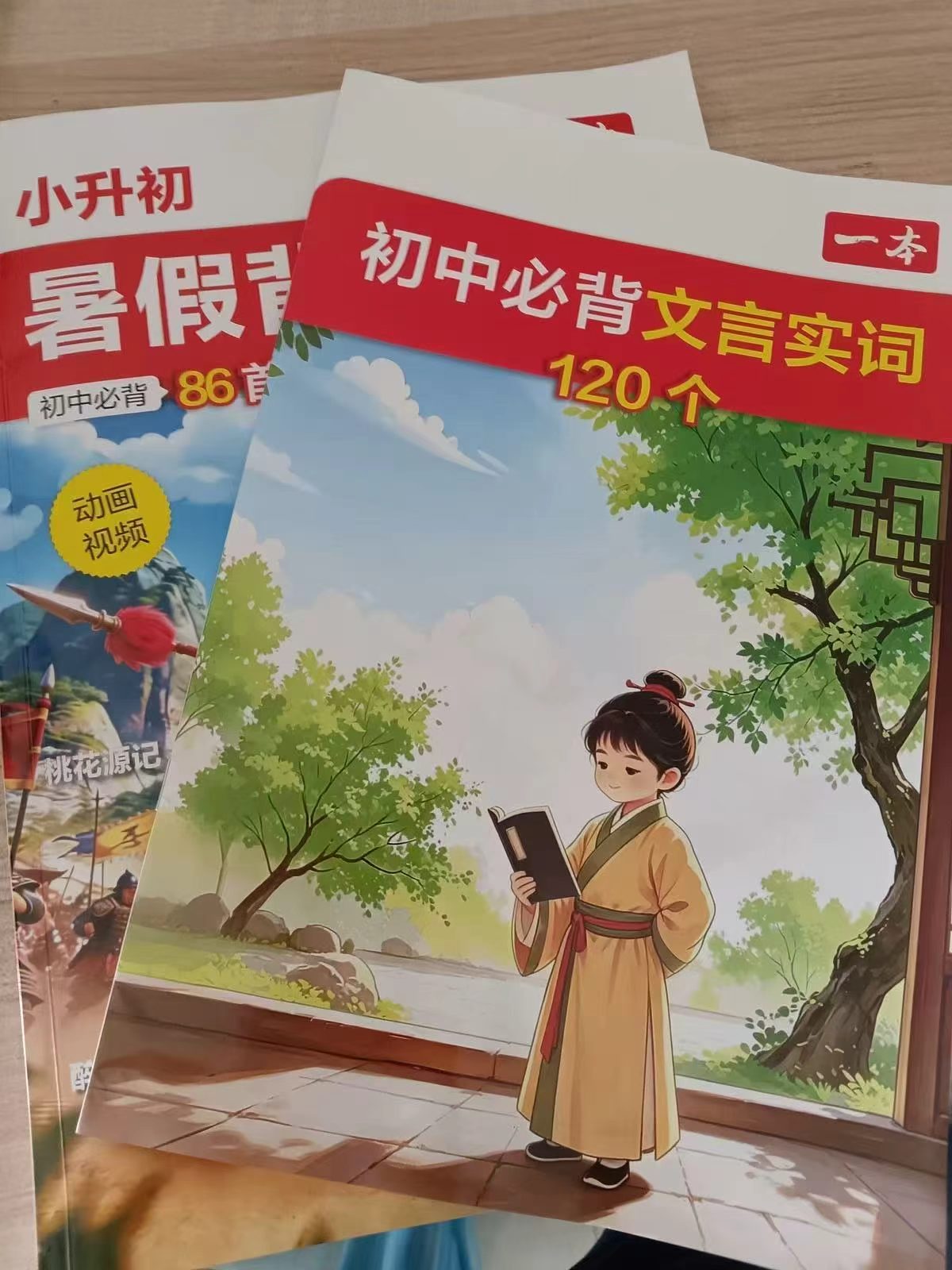 暑假背文言文背单词2本 38.7元 - 86线报