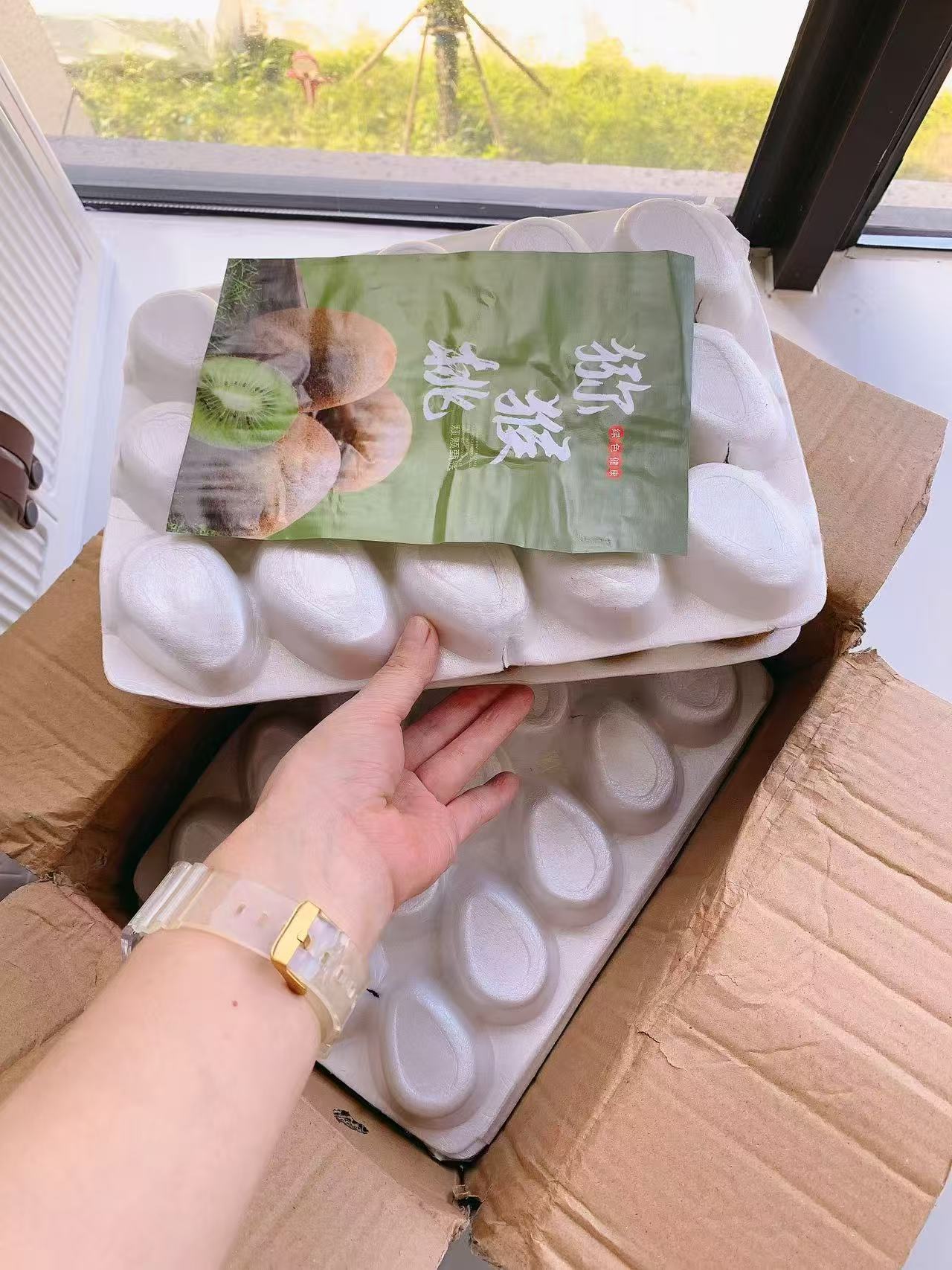 现摘绿心猕猴桃5斤 13.8元 - 折送网 现摘绿心猕猴桃5斤 13.8元 - 折送网