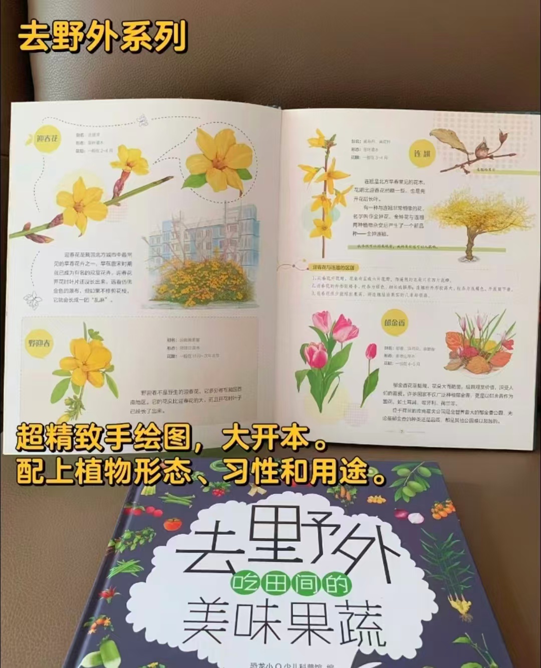 去野外系列2册 41.6元 - 86线报