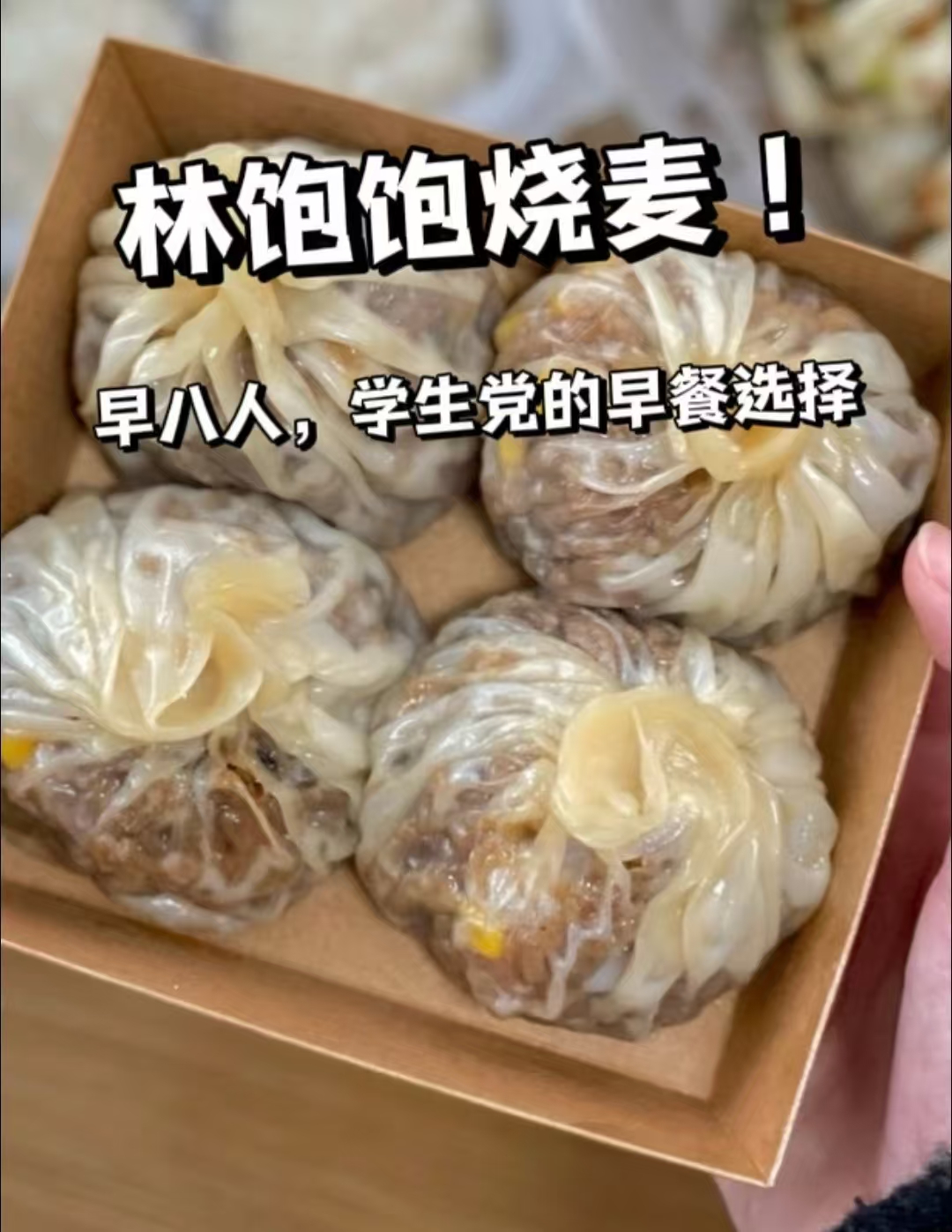 林饱饱纸皮烧麦拍4包 26.8元 - 线报酷