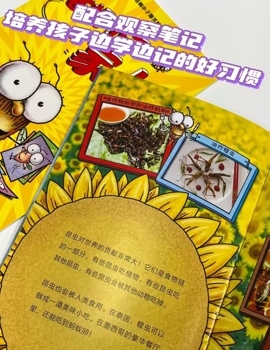 苍蝇小子爆笑桥梁书29册 116元 - 86线报