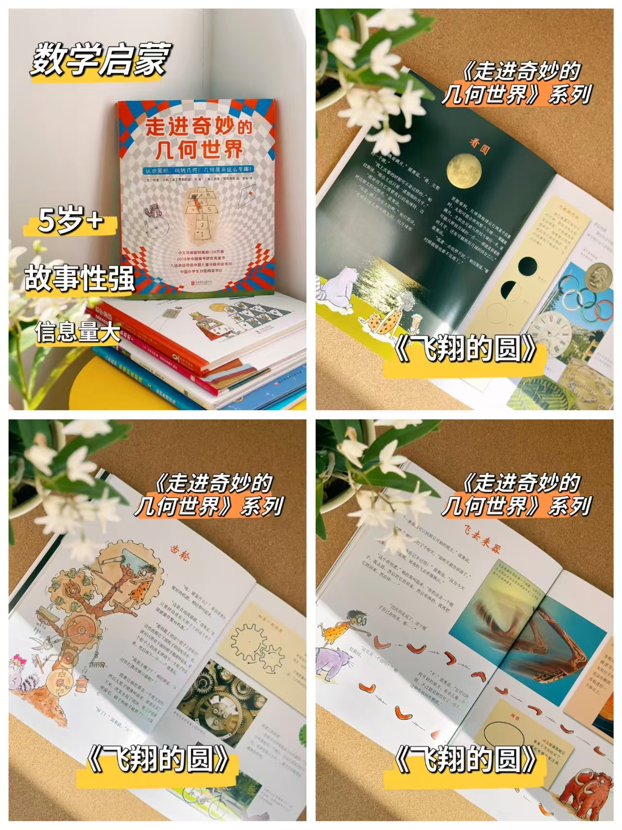 走进奇妙的几何世界6册 41.6元 - 86线报