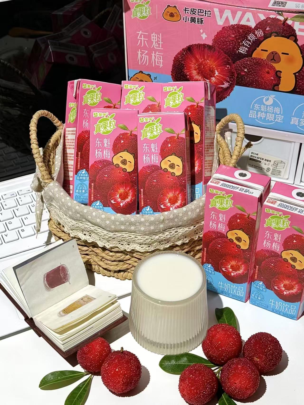 蒙牛真果粒两箱组合东魁杨梅12盒+杨枝甘露10盒 39.9元 - 线报酷