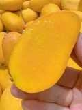 热带芒果 净重4.5斤 单果70g+ 图片 2