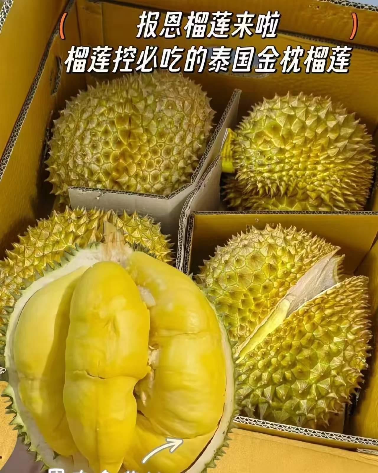 泰国金枕榴莲到手2.5-3斤 63.9元 - 线报酷 泰国金枕榴莲到手2.5-3斤 63.9元 - 线报酷