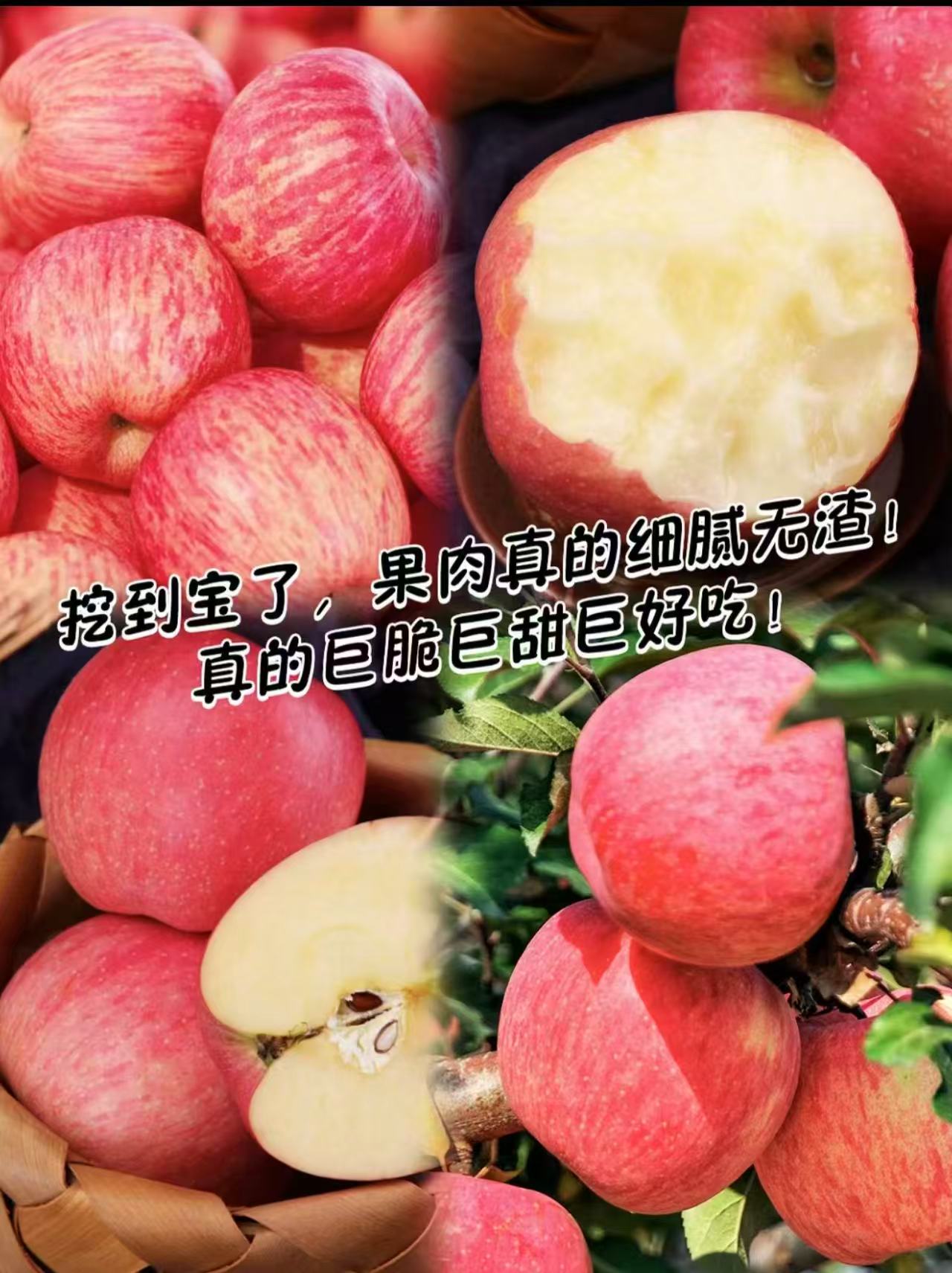 新疆冰糖心红富士苹果净重8.5斤 24.9元 - 86线报