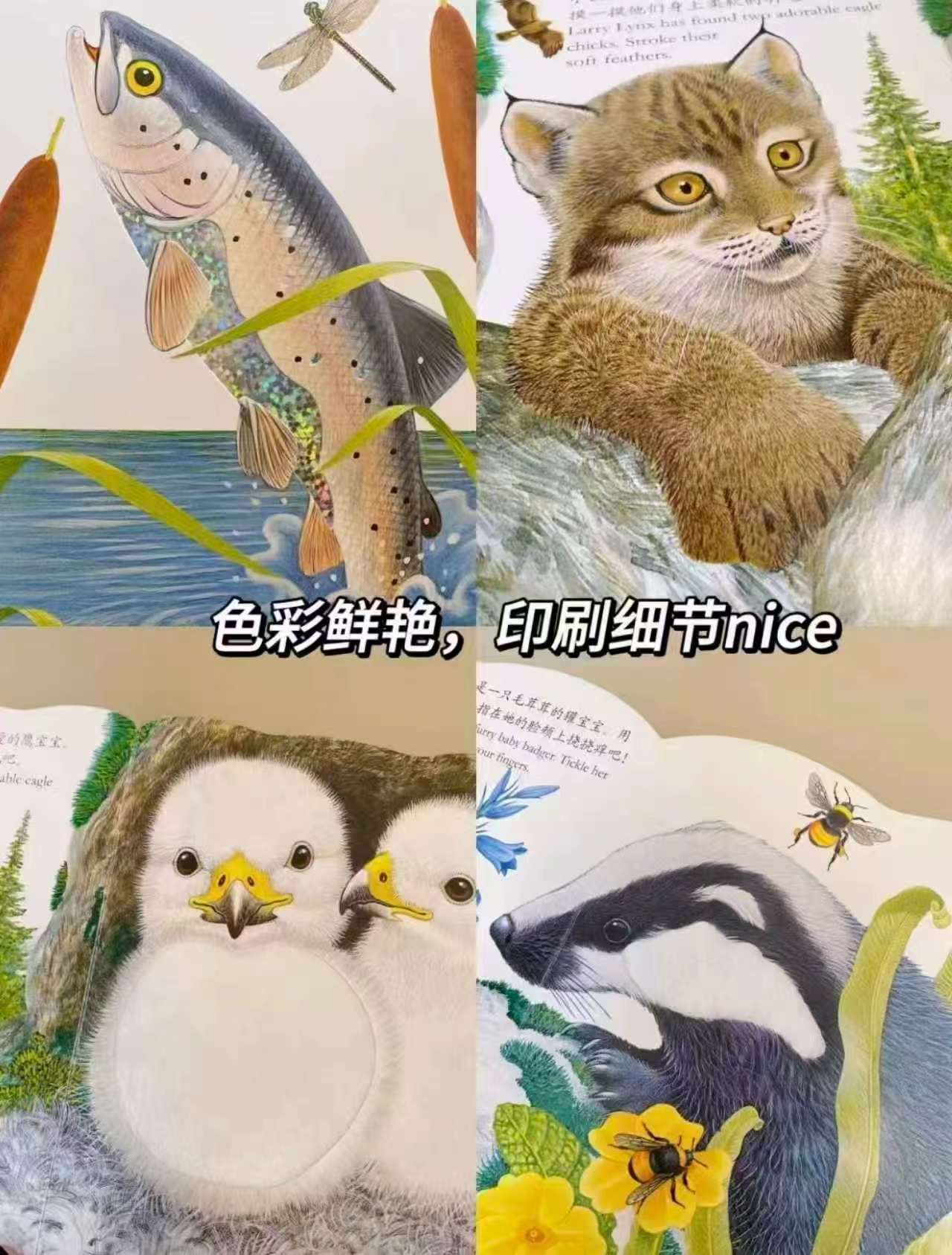 乐乐趣幼儿触摸书拍2件 34.9元 - 86线报