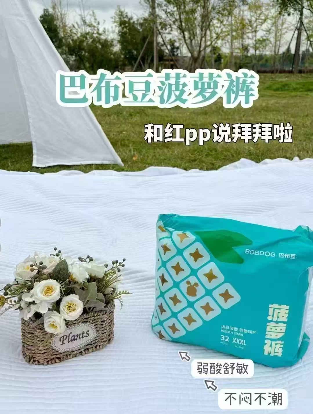 巴布豆菠萝裤 27.9元 - 86线报