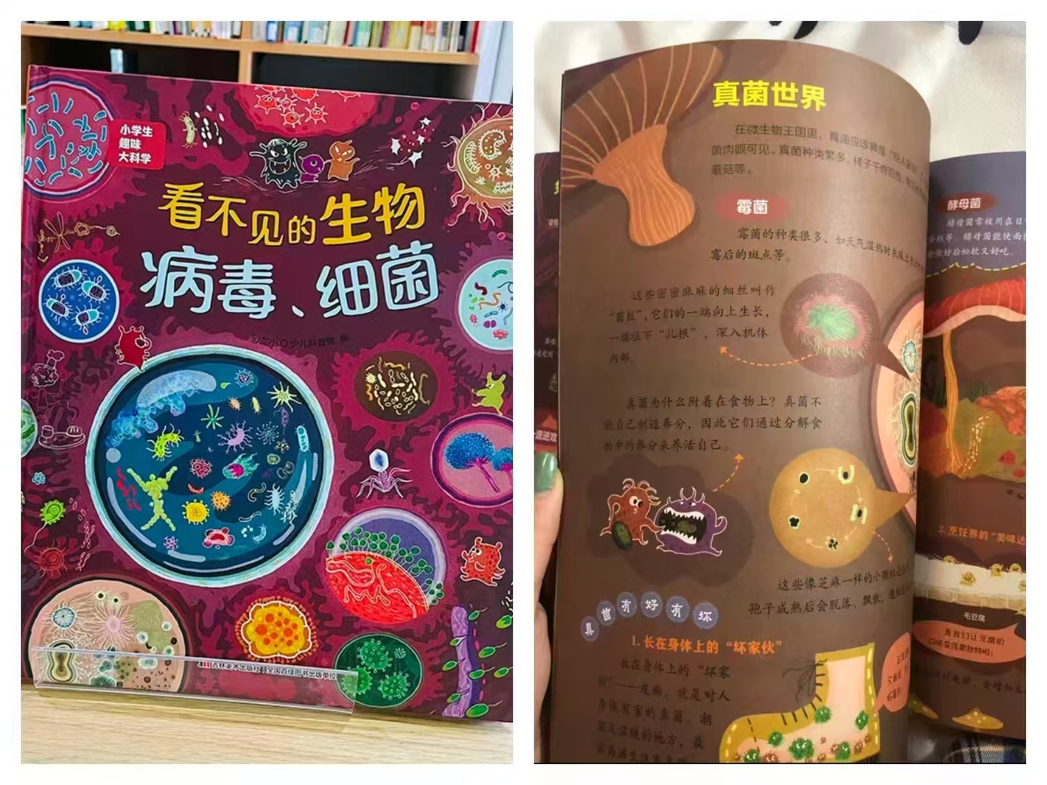 看不见的生物病毒细菌 6.2元 - 86线报