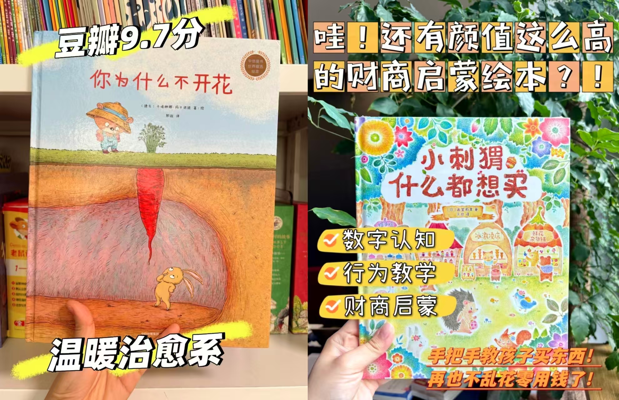 小刺猬什么都想买 12.9元，你为什么不开花 16元 - 86线报