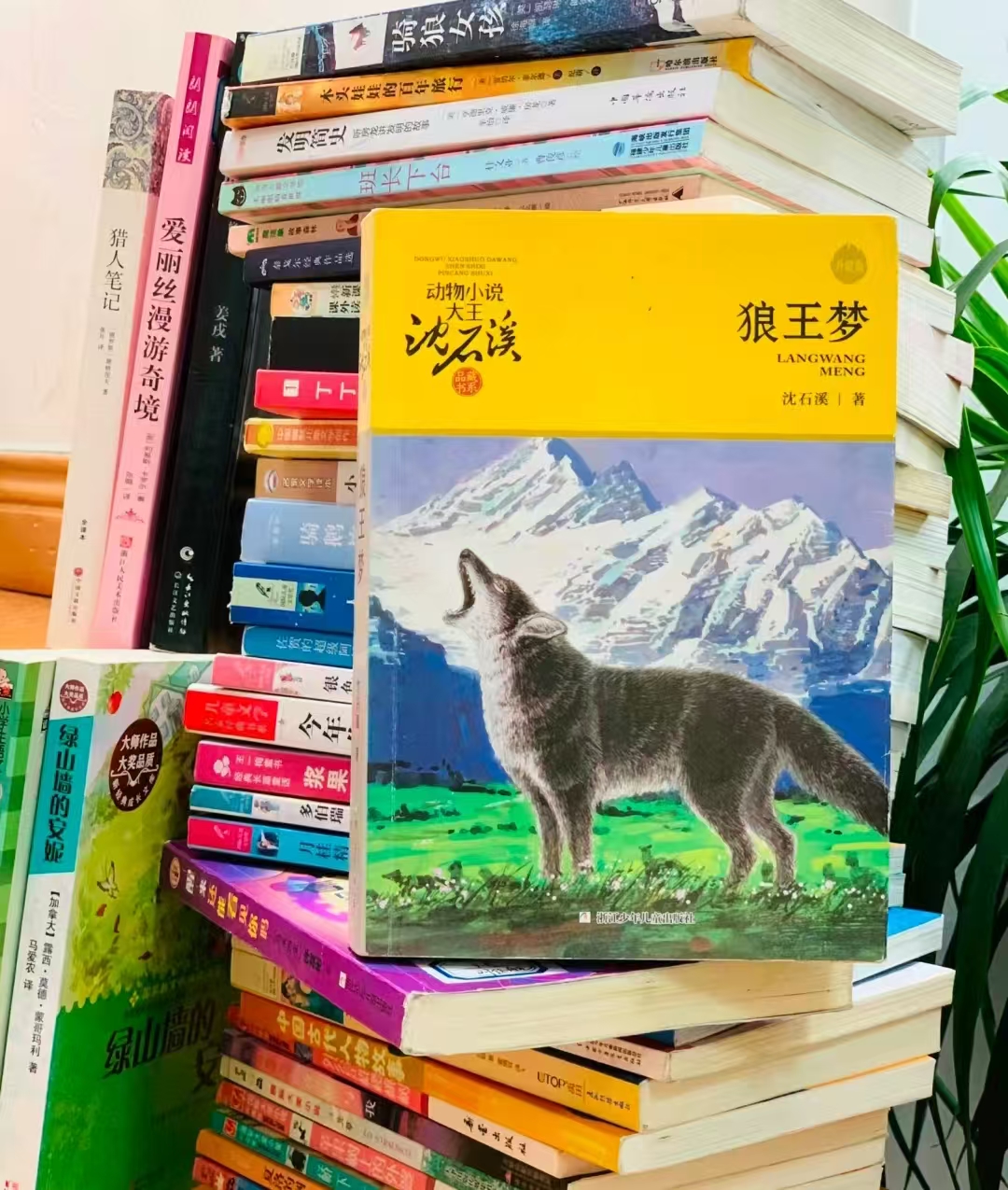 狼王梦沈石溪动物小说 8.9元 - 线报酷