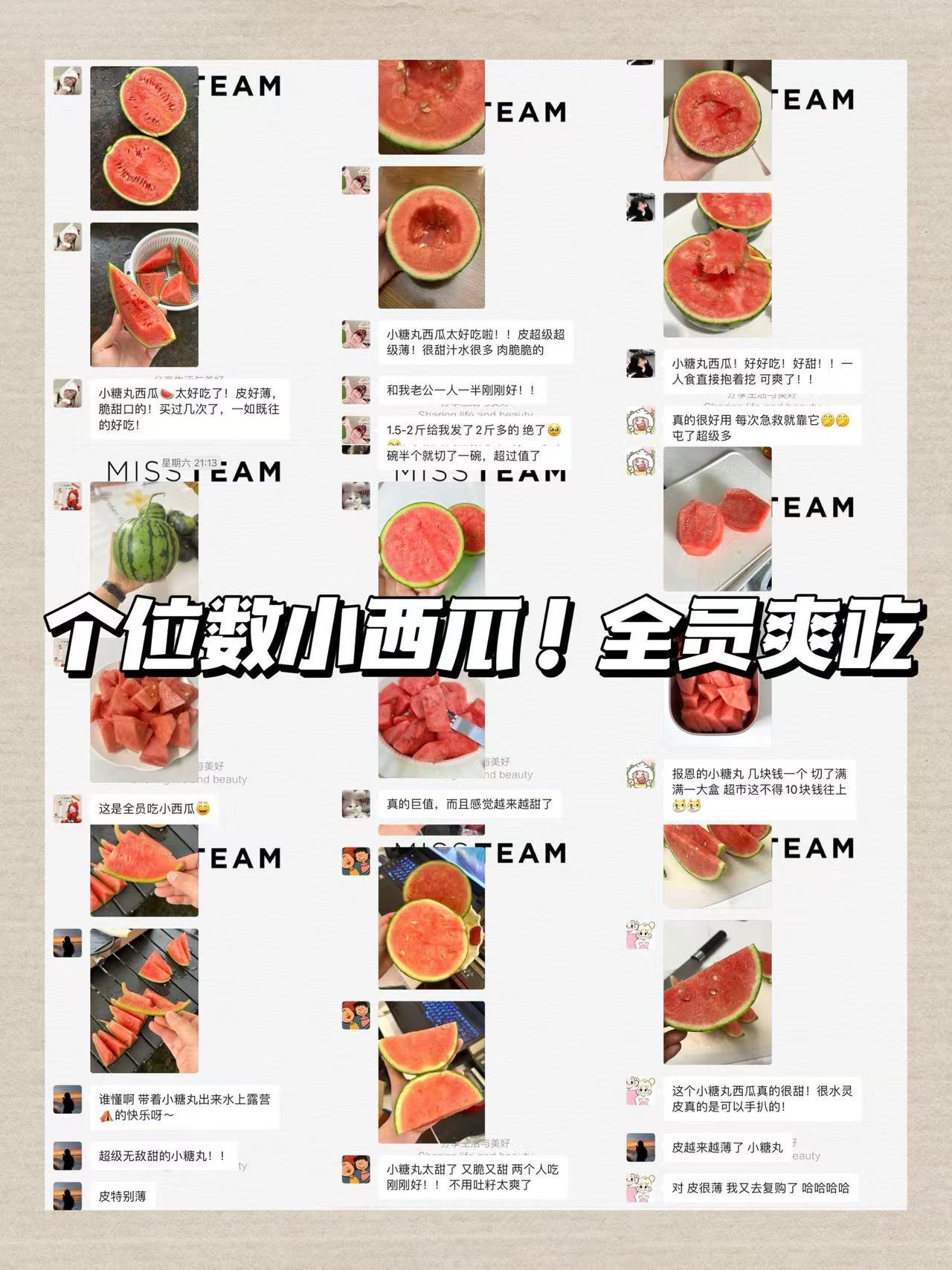 当季小糖丸西瓜4-5斤 9.9元 - 86线报