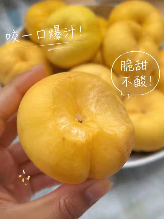 黄金蟠桃带箱5-5.5斤 24.9元 - 线报酷