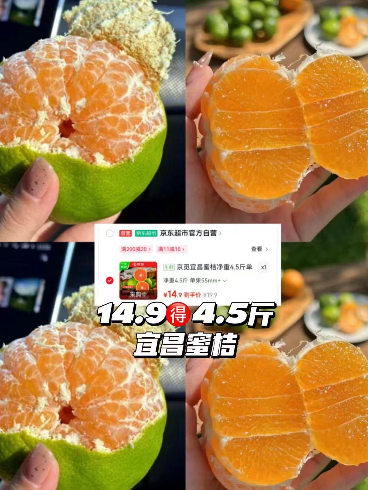 宜昌青皮蜜桔55mm+大果净重4.5斤 14.9元 - 86线报