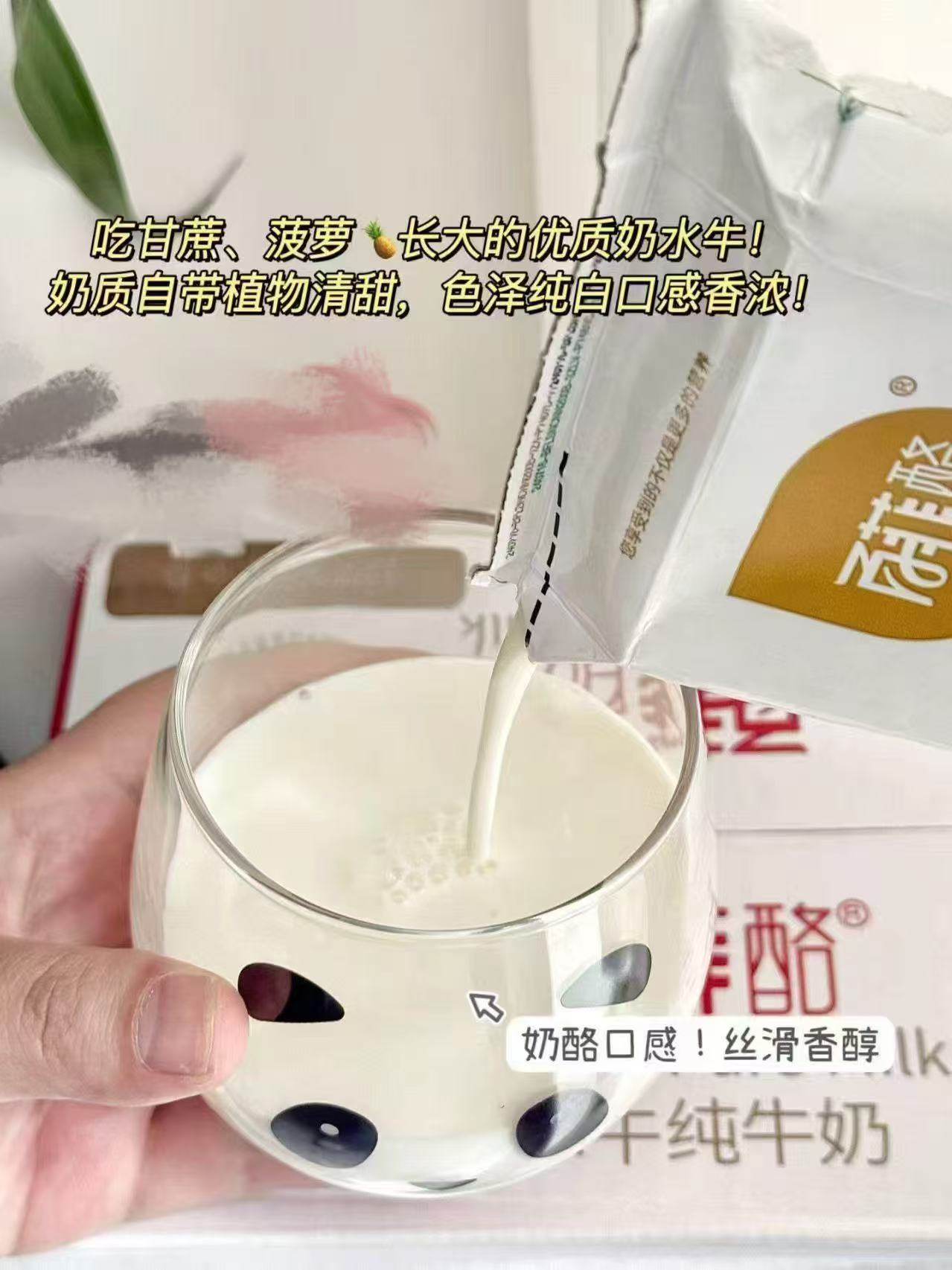 百菲酪3.6g儿童水牛纯牛奶125ml*9盒*2箱 拍18盒 29元 - 86线报